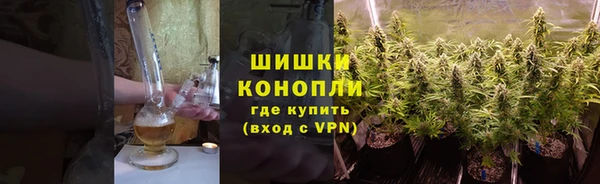 Альфа ПВП Сосновый Бор
