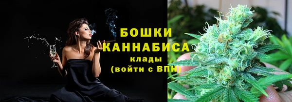 Альфа ПВП Сосновый Бор