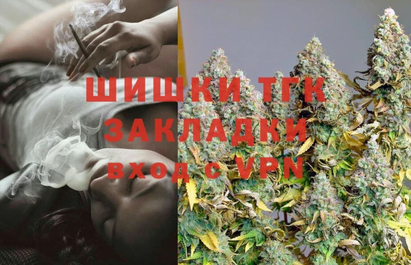 Альфа ПВП Сосновый Бор