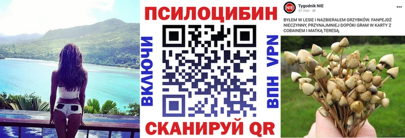 где купить наркоту  Балашов  Галлюциногенные грибы Psilocybe 
