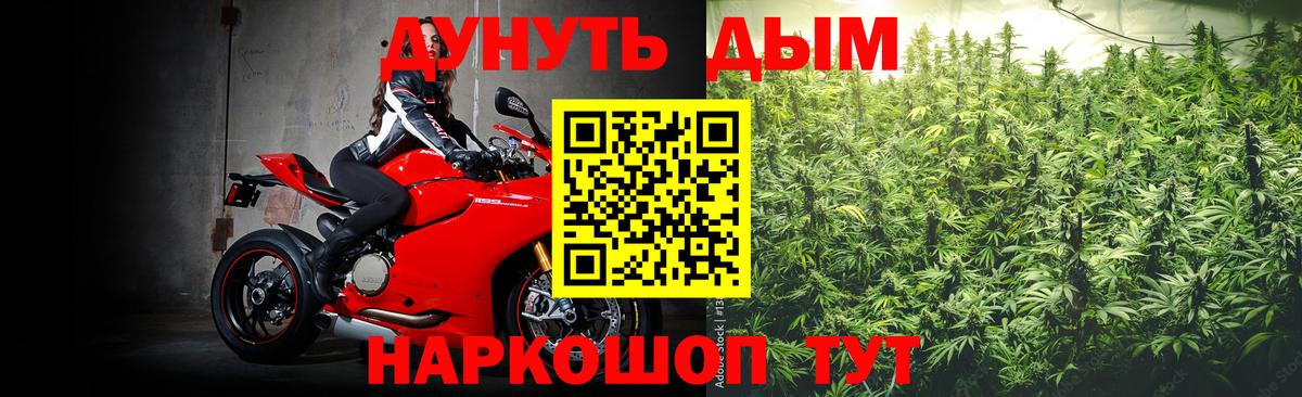 Бошки марихуана конопля  Вход с VPN  Балашов  Марихуана Bruce Banner 